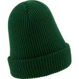 Skate Fisherman Beanie (Gorge Green)