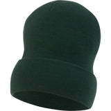 Reversable Skate Beanie (Green)