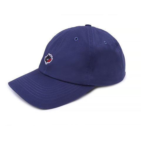 Dad Hat (Navy)