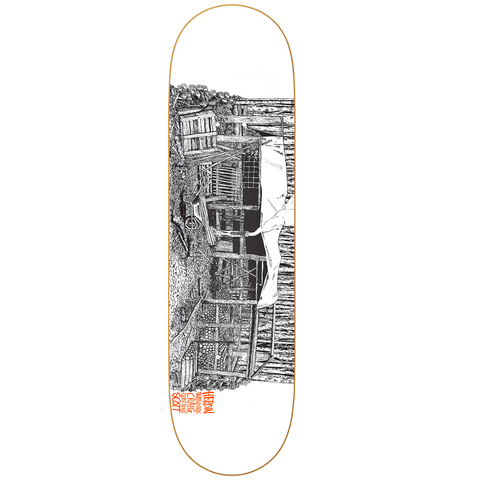 Cabin Series 2 (Questions)