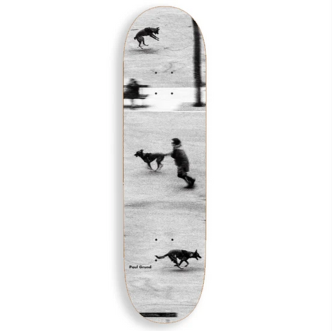 Dog Studies (Paul Grund) Deck