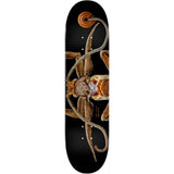 LB Marion Flightless Moth 243 Deck