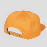 Tooth & Nail 5-Panel Cap (Gold)